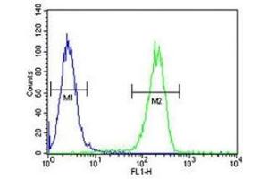 Annexin V antibody flow cytometric analysis of A2058 cells (green) compared to a negative control (blue).