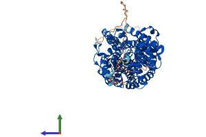 Protein Structure (PS) image for Solute Carrier Family 6 (Neurotransmitter Transporter, serotonin), Member 4 (SLC6A4) (AA 1-630) protein (His tag) (ABIN7563884)