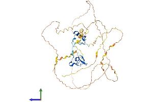 AlphaFold protein structure predicition of Mouse Recombinant Gata2 Protein, UniprotID O09100 (GATA2 Protein (AA 1-480) (His tag))
