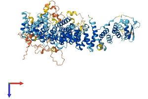 AlphaFold protein structure predicition of Human Recombinant ABTB2 Protein, UniprotID Q8N961