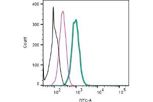 Cell surface detection of ZIP10 by indirect flow cytometry in live intact human  monocytic leukemia cell line: + goat-anti-rabbit-FITC.