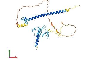 Protein Structure (PS) image for Cell Division Cycle Associated 8 (CDCA8) (AA 1-289) protein (His tag) (ABIN7558664)