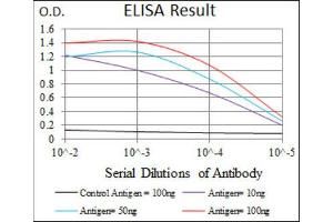 ELISA image for anti-Doublecortin (DCX) (AA 362-411) antibody (ABIN1844030)