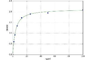 Mitogen-Activated Protein Kinase (MAPK) ELISA Kit
