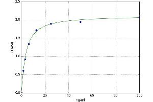 A typical standard curve (Mitogen-Activated Protein Kinase (MAPK) ELISA 试剂盒)