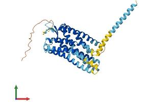 Protein Structure (PS) image for Chemokine (C-X-C Motif) Receptor 7 (CXCR7) (AA 1-362) protein (His tag) (ABIN7563456)
