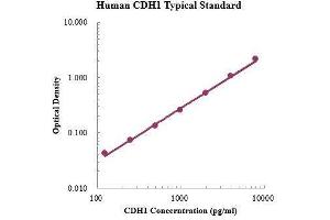 ELISA image for Cadherin 1, Type 1, E-Cadherin (Epithelial) (CDH1) ELISA Kit (ABIN3199213)