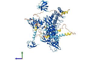 Protein Structure (PS) image for Mindbomb E3 Ubiquitin Protein Ligase 1 (MIB1) (AA 1-1006) protein (His tag) (ABIN7564225)