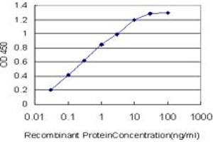 ELISA image for anti-Calcium Channel, Voltage-Dependent, beta 2 Subunit (CACNB2) (AA 213-301) antibody (ABIN560146)
