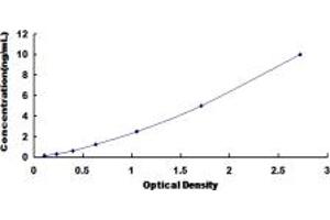 Typical standard curve (CD90 ELISA 试剂盒)