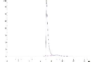 Size-exclusion chromatography-High Pressure Liquid Chromatography (SEC-HPLC) image for Lymphocyte Antigen 9 (CD229) (AA 48-454) protein (His-Avi Tag) (ABIN7275223)