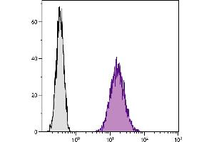 Mouse pre-B cell line 18-81 was stained with Rat Anti-Mouse CD71-FITC. (Transferrin Receptor 抗体)