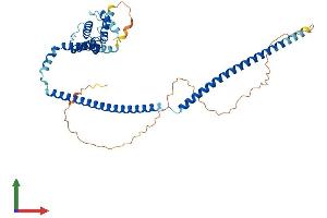 Protein Structure (PS) image for Clusterin Associated Protein 1 (CLUAP1) (AA 1-413) protein (His tag) (ABIN7546617)