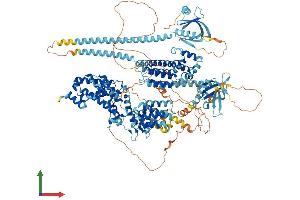 Protein Structure (PS) image for Ras Protein-Specific Guanine Nucleotide-Releasing Factor 1 (RASGRF1) (AA 1-1262) protein (His tag) (ABIN7563028)