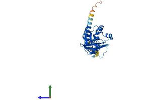 Protein Structure (PS) image for Ras Homolog Gene Family, Member V (RHOV) (AA 1-236) protein (His tag) (ABIN7551369)