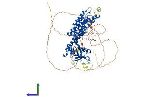 AlphaFold protein structure predicition of Mouse Recombinant Net1 Protein, UniprotID Q9Z206
