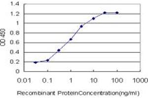 ELISA image for anti-Calcium Channel, Voltage-Dependent, beta 2 Subunit (CACNB2) (AA 213-301) antibody (ABIN560143)