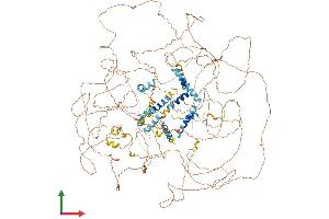 AlphaFold protein structure predicition of Human Recombinant NPAT Protein, UniprotID Q14207 (NPAT Protein (AA 1-1427) (His tag))