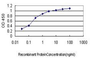 Detection limit for recombinant GST tagged LTBP2 is approximately 0. (LTBP2 抗体  (AA 1709-1818))