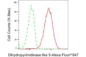Flow cytometric analysis of Dihydropyrimidinase like 5 expression in HAP-1 cells using Dihydropyrimidinase like 5 antibody (ABIN7798340), 1:2,000). (DPYSL5 抗体)