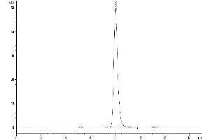 The purity of Human EPHA4 is greater than 95 % as determined by SEC-HPLC.