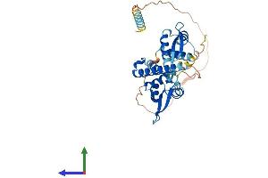 Protein Structure (PS) image for Melanoma Antigen Family B, 18 (MAGEB18) (AA 1-327) protein (His tag) (ABIN7558823)