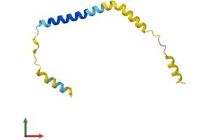 AlphaFold protein structure predicition of Human Recombinant DEXI Protein, UniprotID O95424