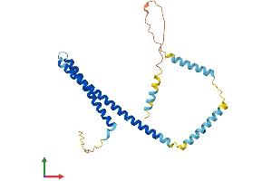 AlphaFold protein structure predicition of Human Recombinant CHMP4C Protein, UniprotID Q96CF2