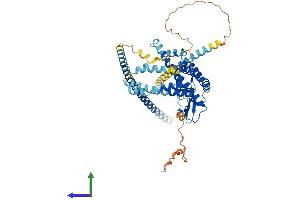 Protein Structure (PS) image for Spermatogenesis Associated 18 (SPATA18) (AA 1-538) protein (His tag) (ABIN7554579)
