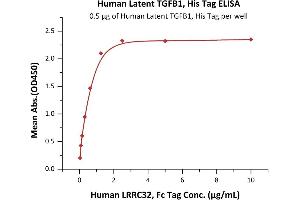 Transforming Growth Factor, beta 1 (TGFB1) (AA 30-390) (Active) protein (His tag)