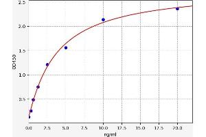 Typical standard curve (G Protein-Coupled Receptor 116 ELISA 试剂盒)