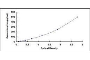ELISA image for Transforming Growth Factor, beta 3 (TGFB3) ELISA Kit (ABIN417771)