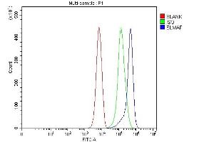 Flow Cytometry analysis of K562 cells using anti-SLMAP antibody (ABIN7600916). (SLMAP 抗体  (AA 25-607))