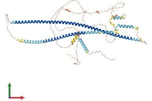 AlphaFold protein structure predicition of Human Recombinant HAP1 Protein, UniprotID P54257