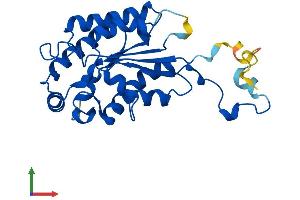 AlphaFold protein structure predicition of Human Recombinant IAH1 Protein, UniprotID Q2TAA2
