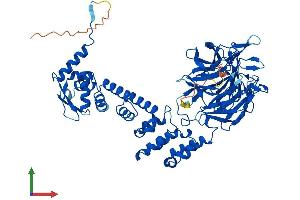 Protein Structure (PS) image for Kelch-Like 9 (KLHL9) (AA 1-617) protein (His tag) (ABIN7548931)