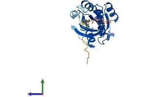 Protein Structure (PS) image for RAB4A, Member RAS Oncogene Family (RAB4A) (AA 1-218) protein (His tag) (ABIN7556469)
