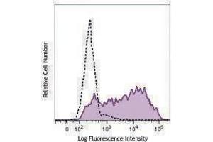 Flow Cytometry (FACS) image for anti-TRA1-81 antibody (Alexa Fluor 488) (ABIN2657105) (TRA1-81 抗体 (Alexa Fluor 488))