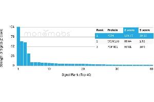 Protein Array (PAr) image for anti-Purkinje Cell Protein 4 (PCP4) antibody (ABIN7456002) (PCP4 抗体)