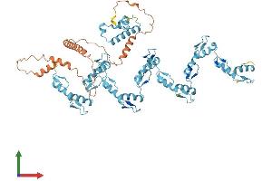 AlphaFold protein structure predicition of Human Recombinant ZNF728 Protein, UniprotID P0DKX0