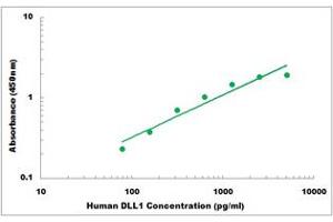 Representative Standard Curve (DLL1 ELISA 试剂盒)