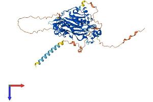 MGAT3 Protein (AA 1-533) (His tag)