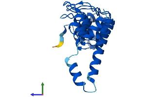 Protein Structure (PS) image for Ankyrin Repeat Domain 22 (ANKRD22) (AA 1-191) protein (His tag) (ABIN7552157)