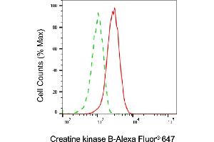 Flow cytometric analysis of Creatine kinase B expression in HAP-1 cells using Creatine kinase B antibody (ABIN7798160), 1:2,000). (CKB 抗体)