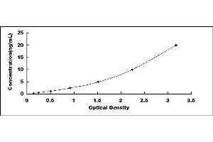Typical standard curve (OSCAR ELISA 试剂盒)