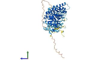 Protein Structure (PS) image for Preferentially Expressed Antigen in Melanoma (PRAME) (AA 1-509) protein (His tag) (ABIN7551034)