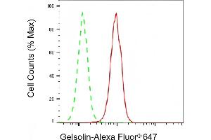 Flow cytometric analysis of Gelsolin expression in C2C12 cells using Gelsolin antibody (ABIN7798702), 1:2,000).