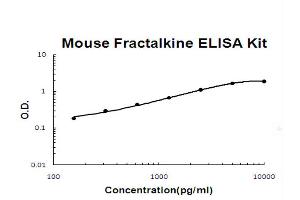 Mouse Fractalkine/CX3CL1 Accusignal ELISA Kit Mouse Fractalkine/CX3CL1 AccuSignal ELISA Kit standard curve. (CX3CL1 ELISA 试剂盒)