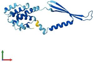 Protein Structure (PS) image for COMM Domain Containing 2 (COMMD2) (AA 1-199) protein (His tag) (ABIN7546708)