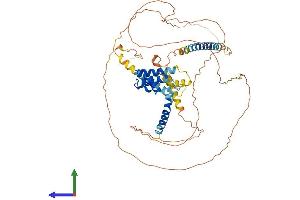 Protein Structure (PS) image for Acyl-CoA Binding Domain Containing 5 (ACBD5) (AA 1-534) protein (His tag) (ABIN7551850)